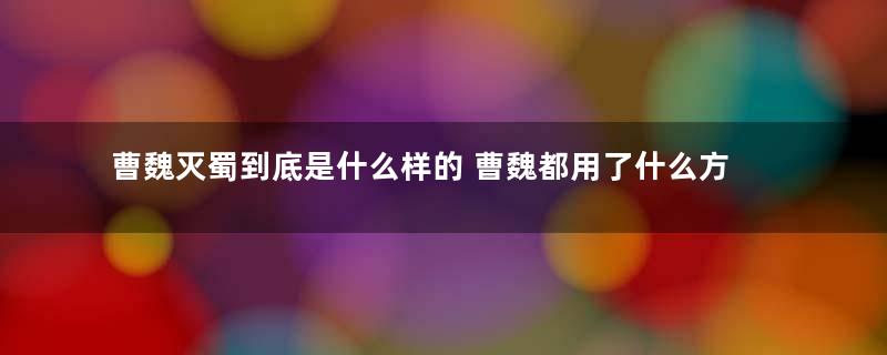 曹魏灭蜀到底是什么样的 曹魏都用了什么方法